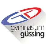 Borg Güssing Logo